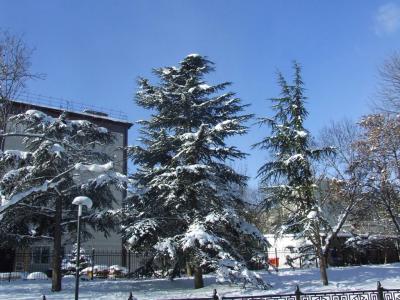 Прикрепленное изображение: p02.jpg